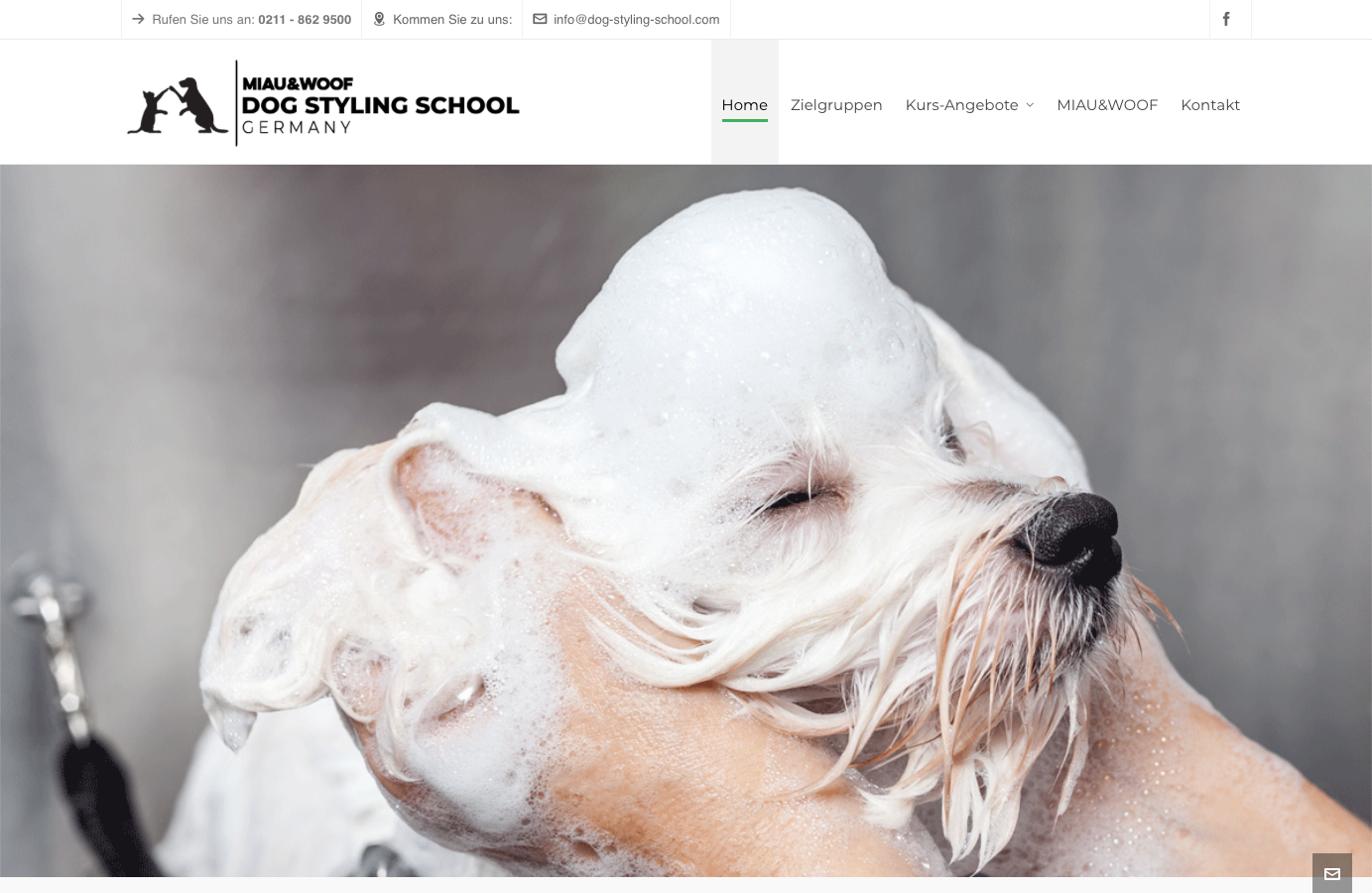 Dog Styling School