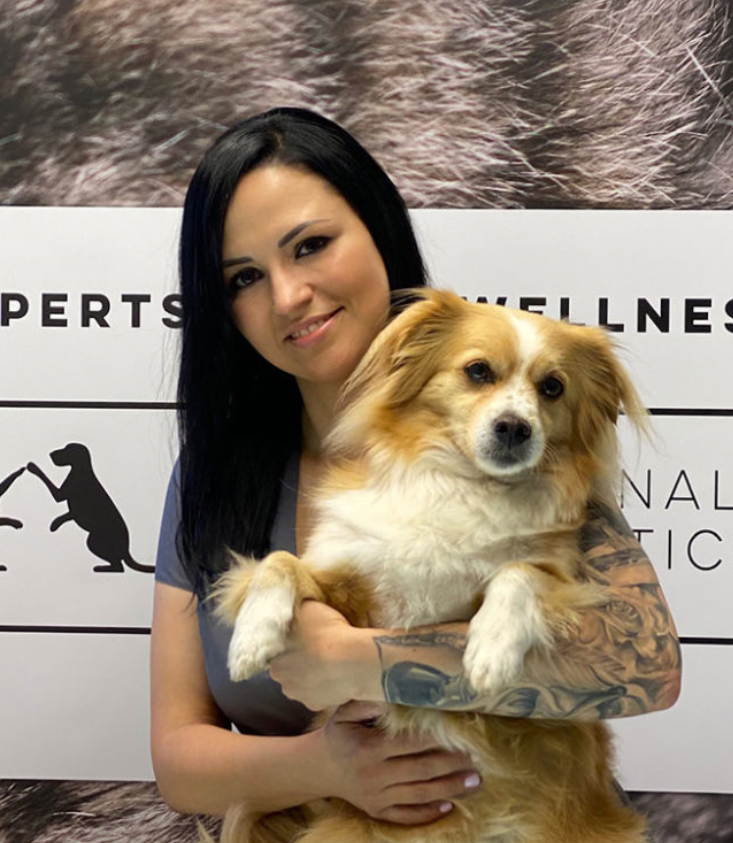 Hundesalon Wautastisch