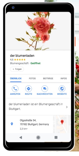 Google my Business Smartphone