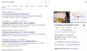 Google my Business Google Suche
